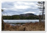 Late April in Parc Eco des Laurentides, Quebec