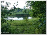Pond