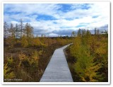 Brisk autumn day 