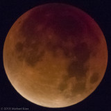 Total Lunar Eclips - Totale Maansverduistering
