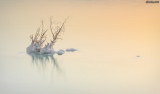 6H9A5908_1024.jpg