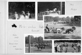1949 erstes Reitturnier nach dem Krieg 