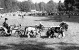 1949 erstes Reitturnier nach dem Krieg 