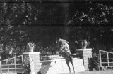 1949 erstes Reitturnier nach dem Krieg 