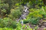 2304 Iao Valley