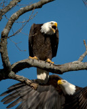 IMG_8909b.jpg