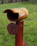 IMG_9247b.jpg