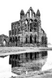 Draculas Ruin: Whitby Abbey B&W