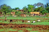 Countryside Village 