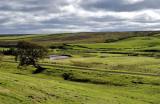 The North Yorkshire Moors