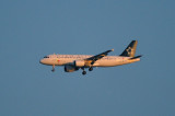 TAP Star Alliance A320, CS-TNP