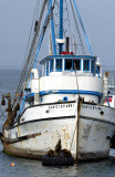 Fishing Boat and the Sea Lions