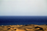 Saharian Sand Dunes at a Beach