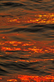 Sun Setting on the Gentle Waves of the Arabian Sea