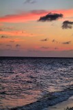 Before The Night Dive