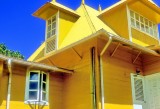 The Yellow House On Film 