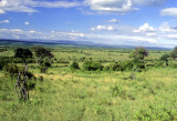 Maasai Mara Wide View 