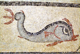 Fish Mosaic: Beautifully Modern