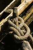 Knot on the Prow 