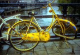 Broken Bicycles 