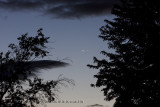 Venus & Jupiter