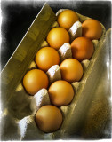 brown eggs