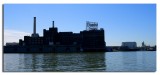 Domino Sugar