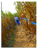 Mama Of The Corn