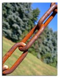 Rusty Swings