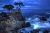 The Lone Cypress