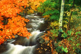 Autumn Creek 