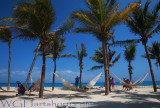 Excaret Palm Cove