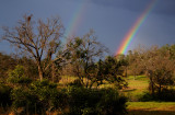 Hwy 49 Backroad Rainbows