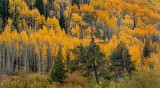 Autumn in Vail Colorado