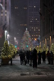 It's Always Christmas in NY