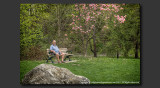 2013 - Ken - Edwards Garden - Toronto, Ontario - Canada