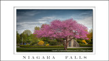 2013 - Niagara Falls, Ontario - Canada