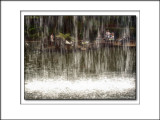 2013 - Behind the water fall - Monte Palace Tropical Garden - Funchal, Madeira - Portugal