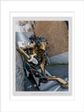 2014 - Upper Quebec City, Quebec - Canada