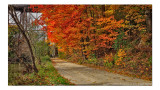 2014 - Autumn Colours, Seton Park - Toronto, Ontario - Canada