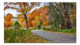 2014 - Autumn Colours, Seton Park - Toronto, Ontario - Canada