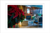 2014 - December in Colour - Toronto, Ontario - Canada