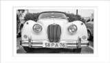 2015 - Jaguar XK 150 - Passeio da Primavera, Vintage Cars Rally - Faro, Algarve - Portugal