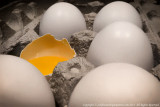 2015 - Half Dozen Eggs