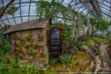 2015 - Allan Gardens - Toronto, Ontario - Canada