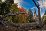 2015 - Edwards Garden - Toronto, Ontario - Canada