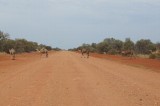 Camels-2.jpg