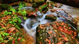 Rushing Water, North Carolina