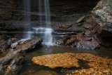 Swirling Leaves, Cucumber Falls