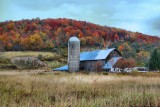 Farm in Upstate New York